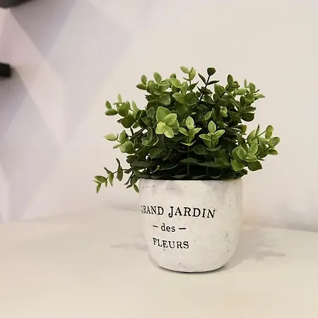 Real Semmelweis Ii Apartamento